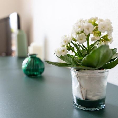 Sunshine - Appartement 2Pers - Terrasse Vue Mer - Динард Екстериор снимка